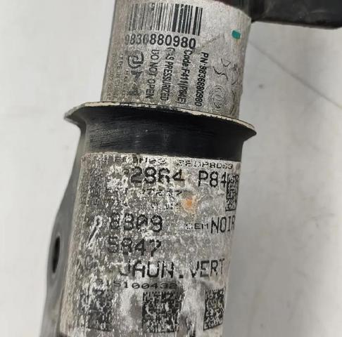 9836880980 PEUGEOT Amortiguador delantero  disponible Vigo
