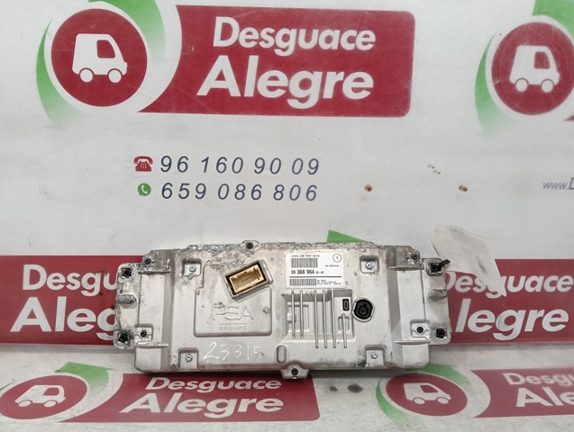 9836896480 Peugeot/Citroen