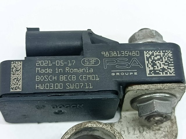 9838135480 Peugeot/Citroen