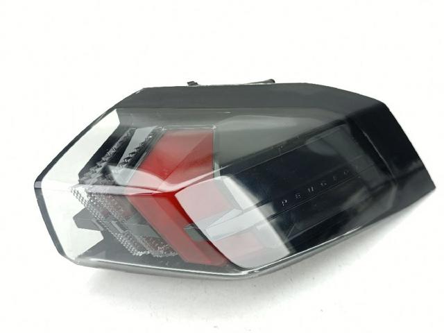 9838190480 Peugeot/Citroen