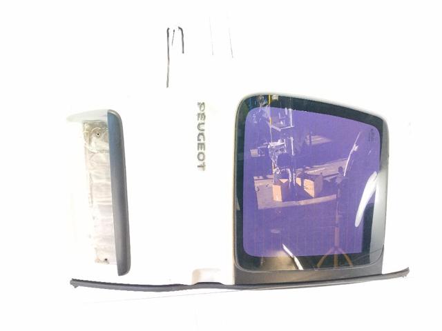 9839338080 Peugeot/Citroen