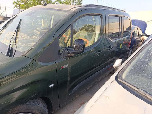 9843490180 Peugeot/Citroen