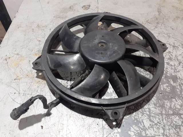 988495H Peugeot/Citroen