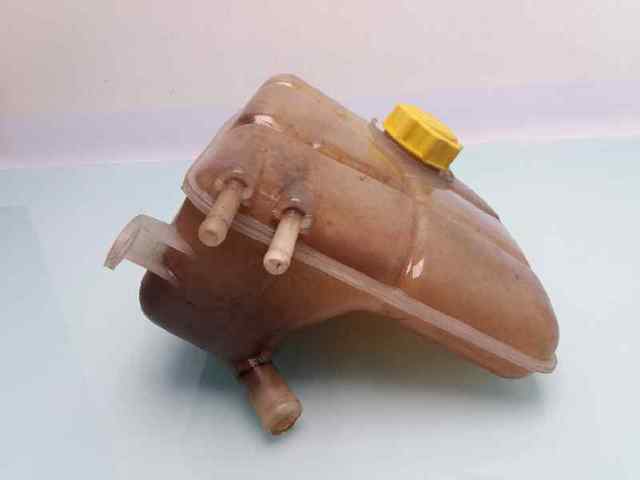 Botella de refrigeración Ford Focus 1 DFW