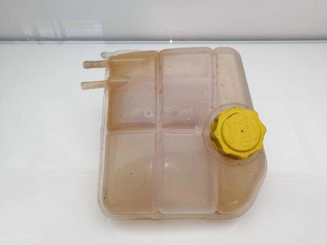 Botella de refrigeración Ford Focus 1 DFW