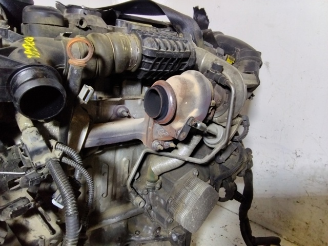 Comprar Motor C4 II B7