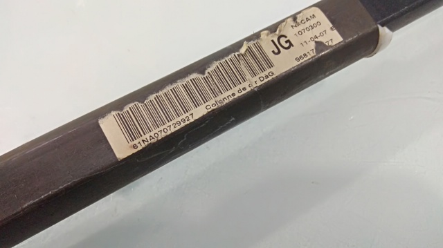 Motor ensamblado 9HZ PEUGEOT