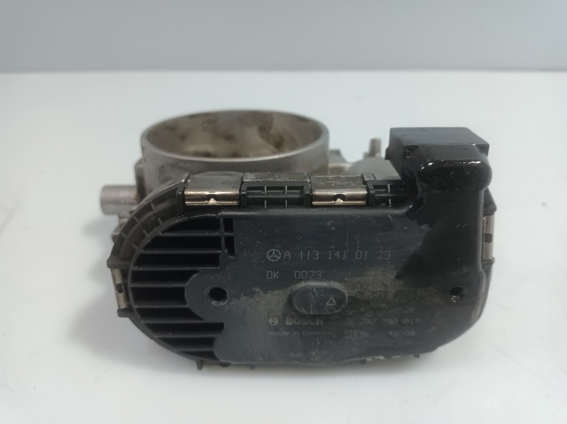A1131410125 Cuerpo de mariposa comprar Almería