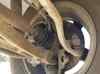 Muñón del eje, soporte de rueda, delantero derecho A1633320102 MERCEDES