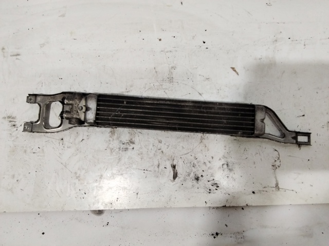 MERCEDES A1695000200 Radiador de refrigeración de la transmisión comprar Barcelona
