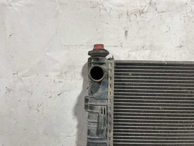 MERCEDES A1695000703 Radiador comprar Pamplona