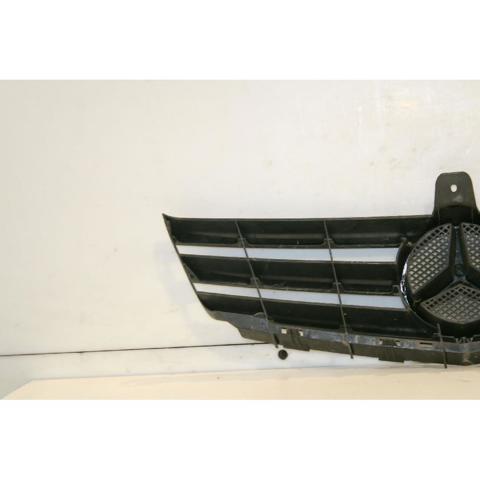 Panal de radiador A1698801583 Mercedes