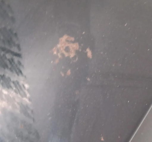 MERCEDES A1767402200 Puerta trasera comprar Pamplona