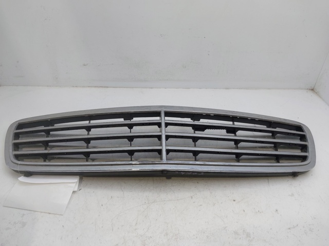 Panal de radiador A2038800223 Mercedes