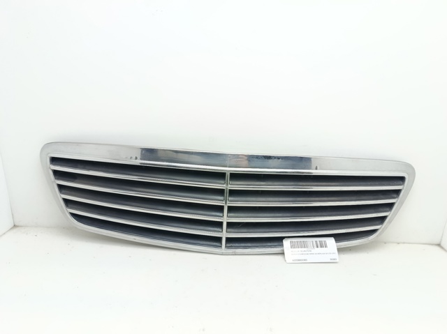 Rejilla para Mercedes S  (W220)