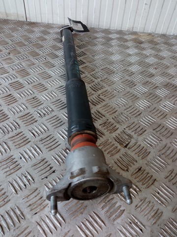 A2463201831 Amortiguador trasero  comprar en Zaragoza