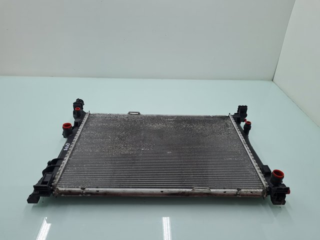 A2465001303 MERCEDES Radiador de refrigeración del motor  disponible Ourense