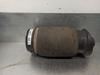 Muelle neumático, suspensión, eje trasero A2513200425 MERCEDES
