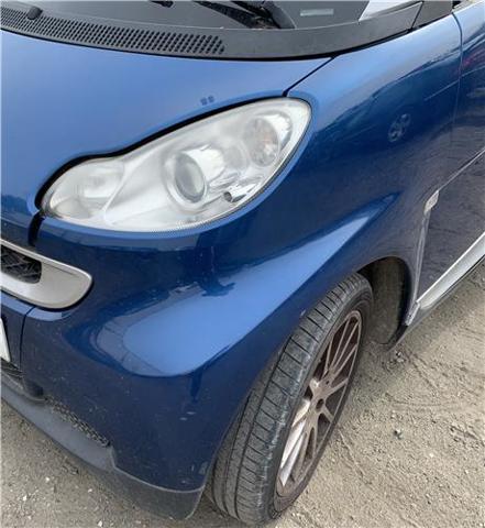 A4518810101CA7L Mercedes/Smart