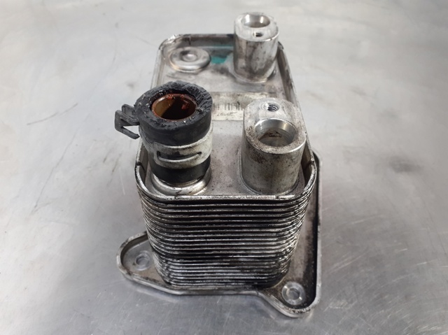 MERCEDES A6111880501 Radiador de aceite  comprar en Murcia