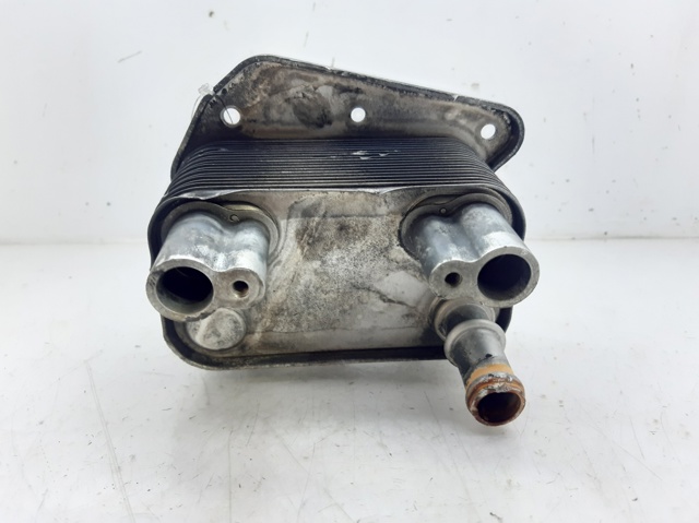 MERCEDES A6121880301 Radiador de aceite  comprar en Ponferrada
