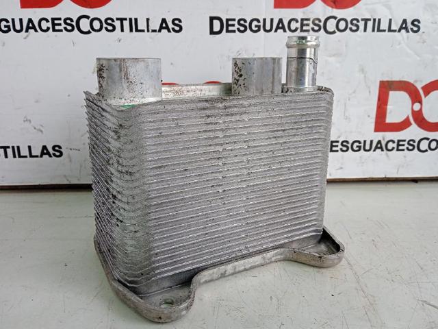 A6131880101 Radiador de aceite  comprar en Zaragoza