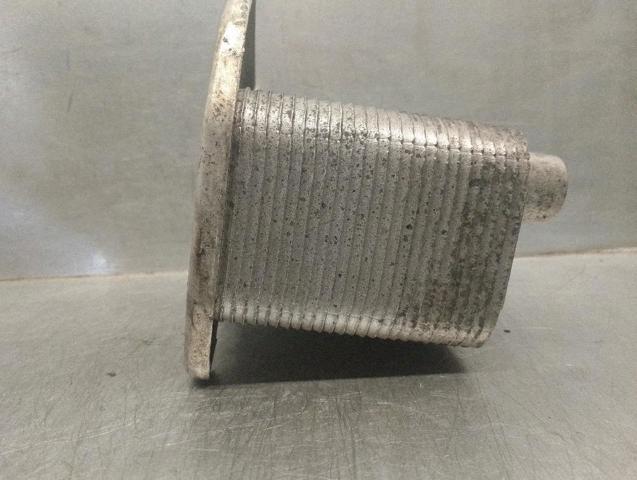 MERCEDES A6131880101 Radiador de aceite  comprar en Ponferrada