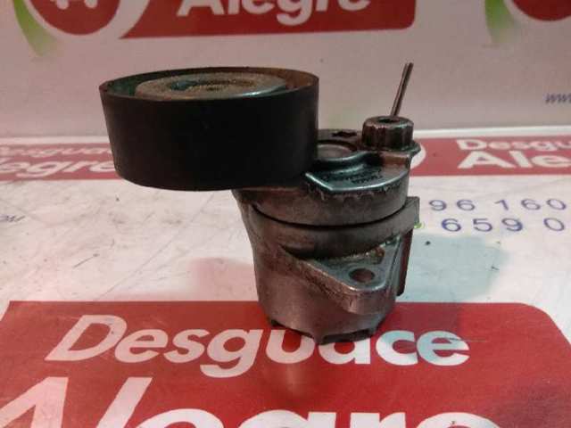 A6462000570 Tensor de correa poli V  en stock Granada