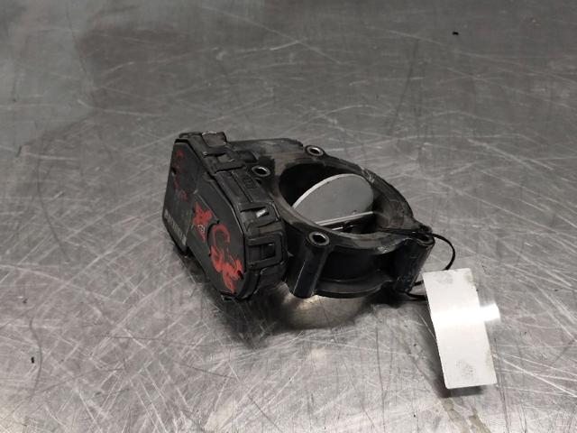 A6510900470 Cuerpo de mariposa comprar Almería