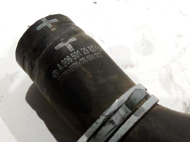 A9065012982 Manguera superior del radiador  comprar en Pontevedra