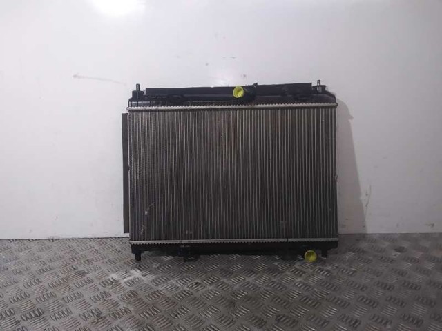 AE818005AB Radiador comprar Girona