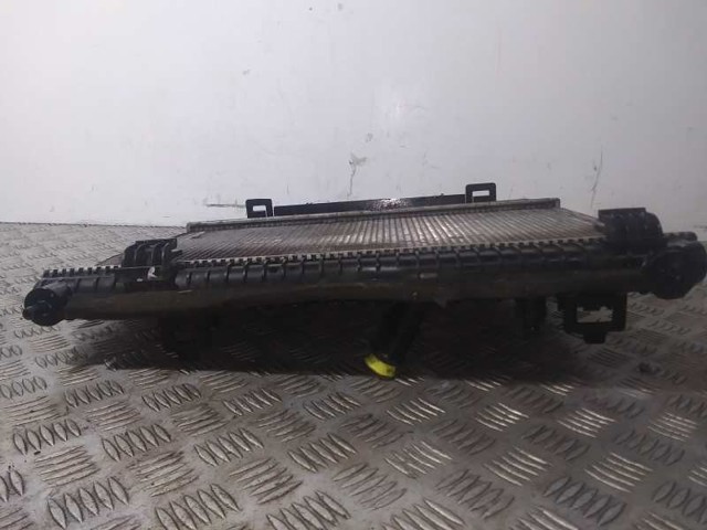 FORD AE818005AB Radiador de refrigeración del motor  comprar en Murcia
