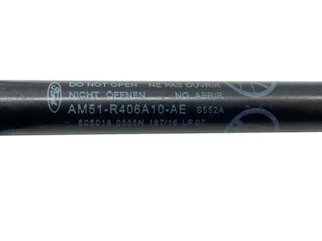 AM51R406A10AE Ford
