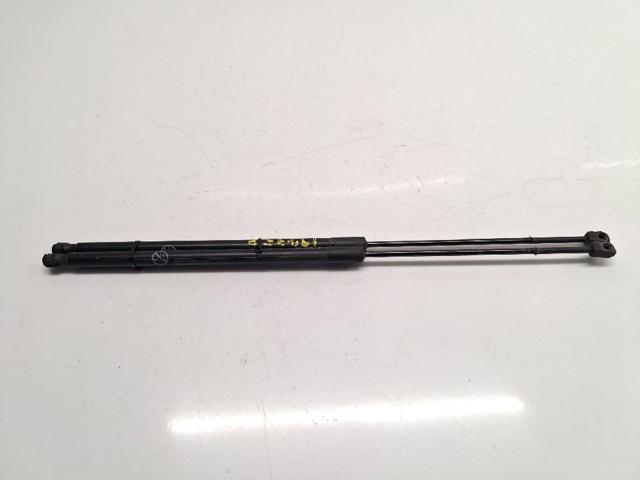 Amortiguador de porton AM51R406A10AE FORD