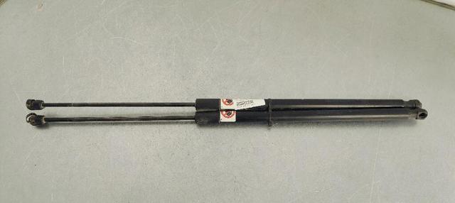 Muelle neumatico maletero para Ford C-Max  (CB7)