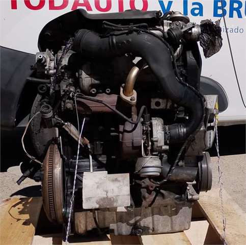 ASV VAG