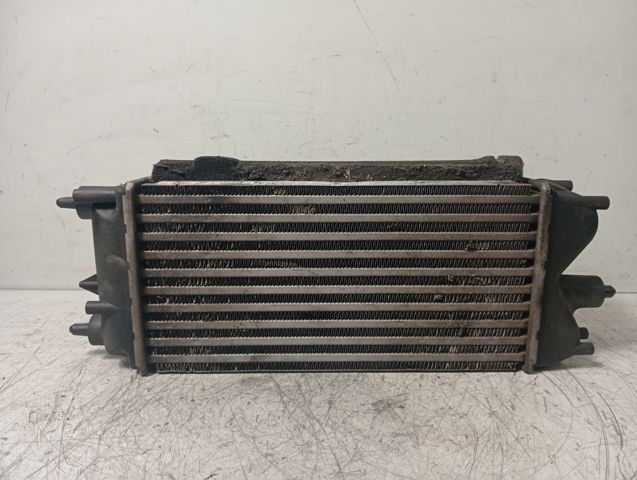 AV219L440AB FORD Intercooler comprar Bilbao