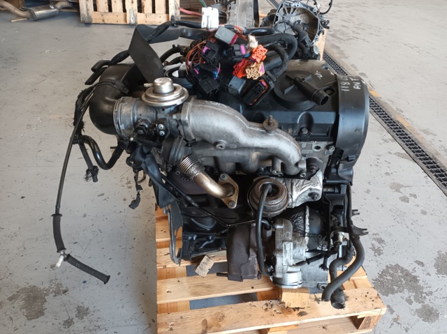 AVF VAG