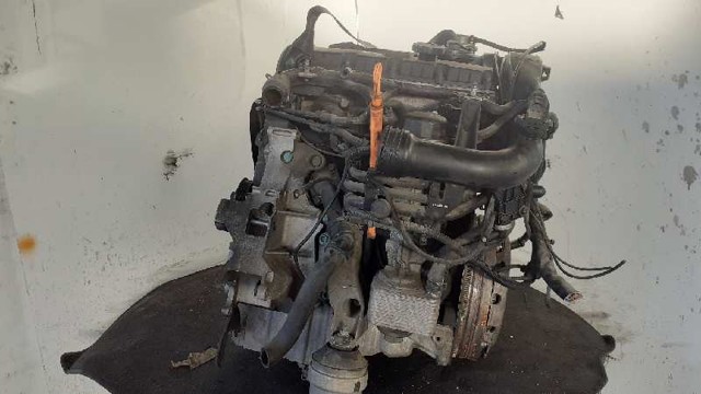AVF VAG