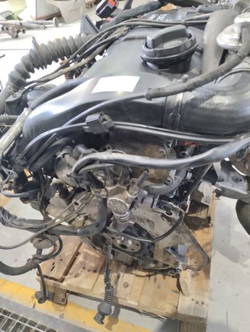 AVF VAG