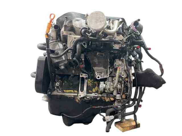 BAC VAG