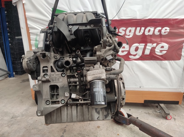 BGU VAG Motor completo  comprar en Oviedo