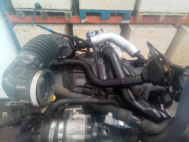 BJFB Ford