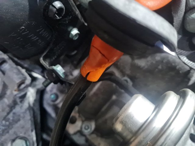 VAG BKD Motor completo comprar Tarragona