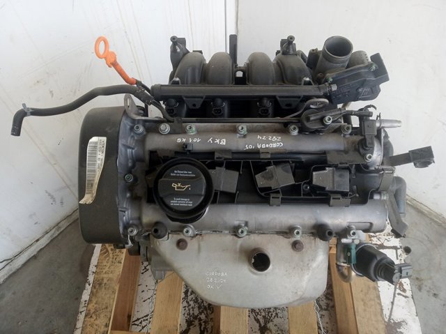 VAG BKY Motor completo  comprar en Ponferrada