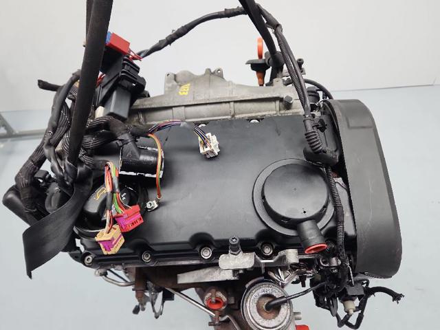 BLB VAG
