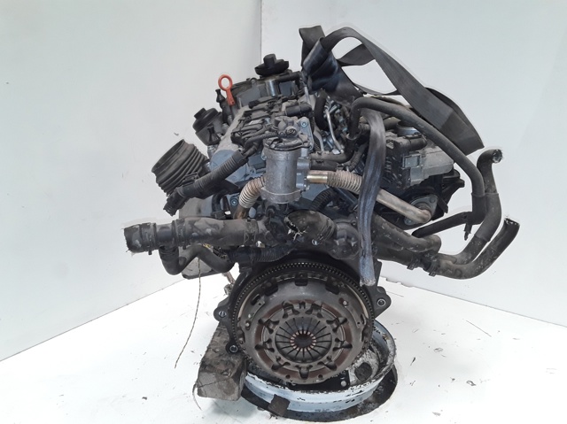 BLF VAG Motor completo comprar Bilbao