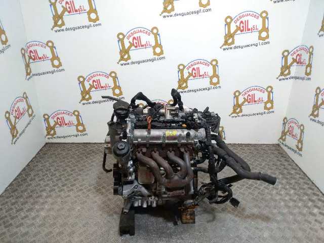 BLP VAG