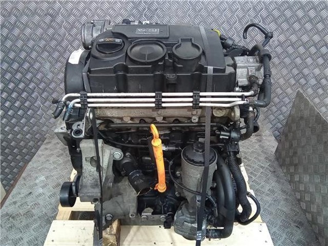 BLS VAG