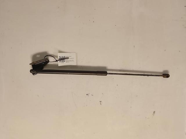 Comprar Amortiguador de puerta trasera Focus III CB8